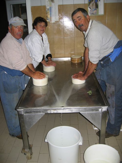scuola di formaggio-42.JPG